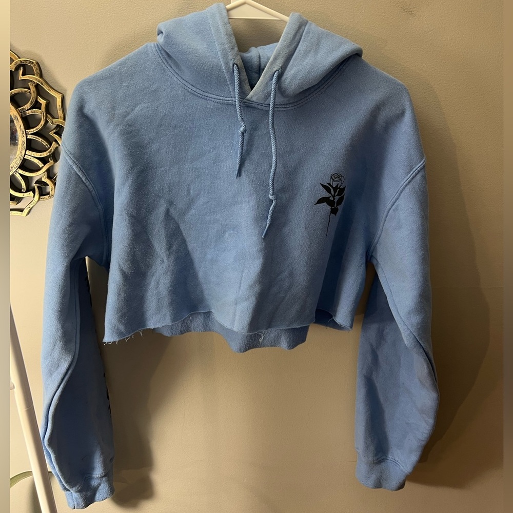 Light Blue Cropped Hoodie, size small